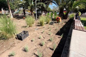 WhatsApp Image 2026-04-01 at 16.03.40 (2).jpeg